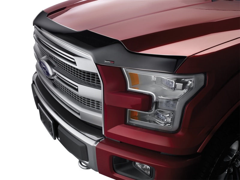 Picture of WeatherTech WT Hood Protector Stone/Bug Deflectors - 55010
