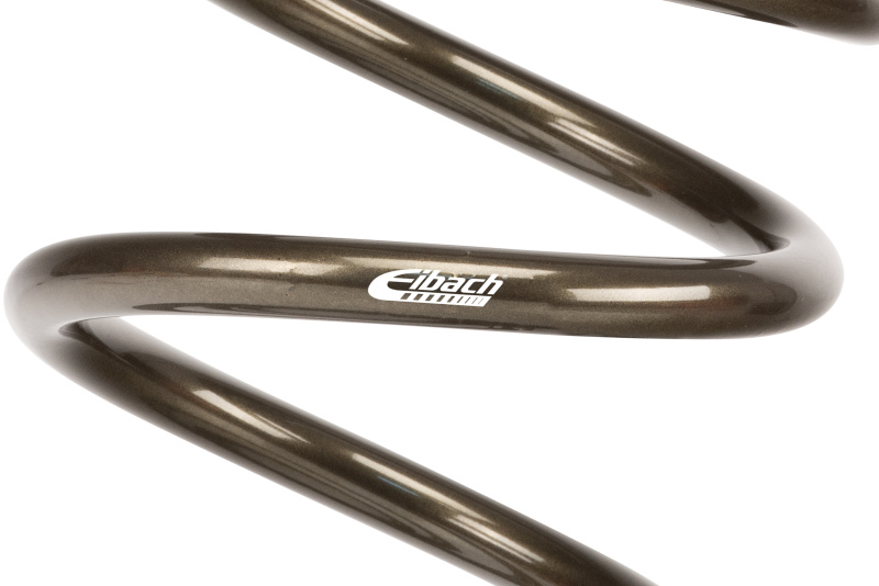 Picture of Eibach EIB ERS Springs Rear Coilover Springs - PR1100.500.0200