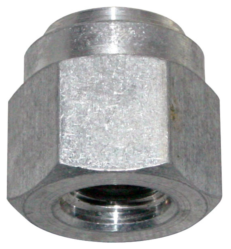Picture of Moroso MOR Bungs - 22719