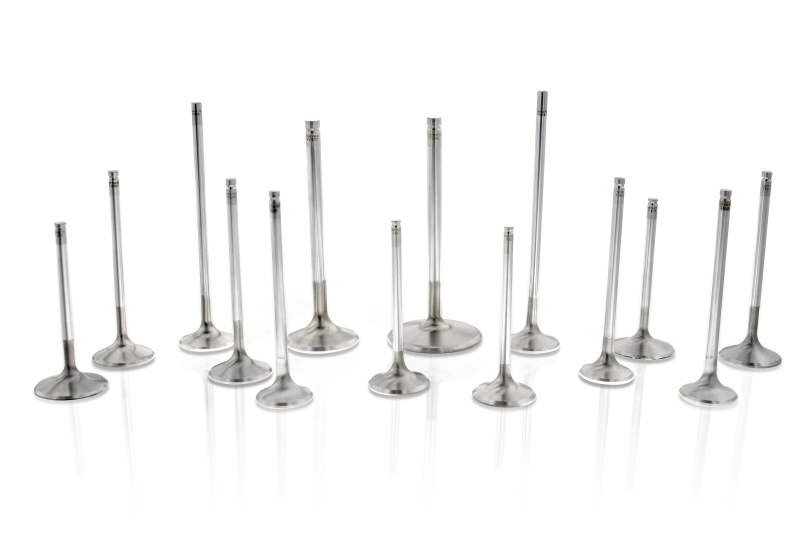 Picture of Ferrea FER Comp Plus Int Valve-Sets - F1852P