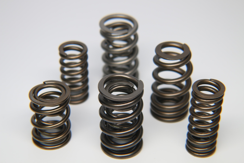 Picture of Ferrea FER Valve Springs-Sets Valve Springs, Retainers - S10123