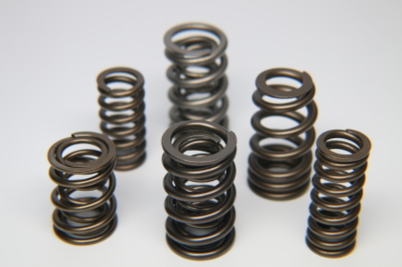 Picture of Ferrea FER Valve Springs-Sets Valve Springs, Retainers - S10044