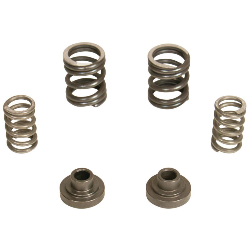 Picture of BD Diesel BDD Governor Spring Kits Injection Pump Components - 1040187