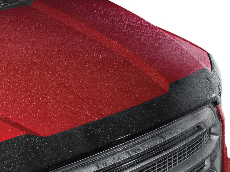 Picture of WeatherTech WT Hood Protector Stone/Bug Deflectors - 55221