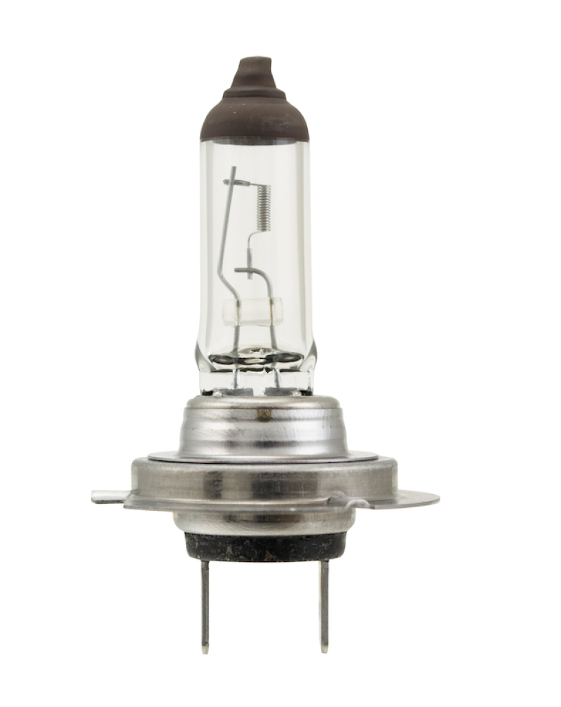 Picture of Hella Halogen Bulb - H7 70W