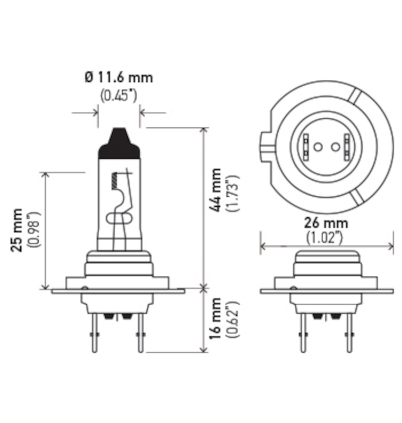 Picture of Hella Halogen Bulb - H7 70W