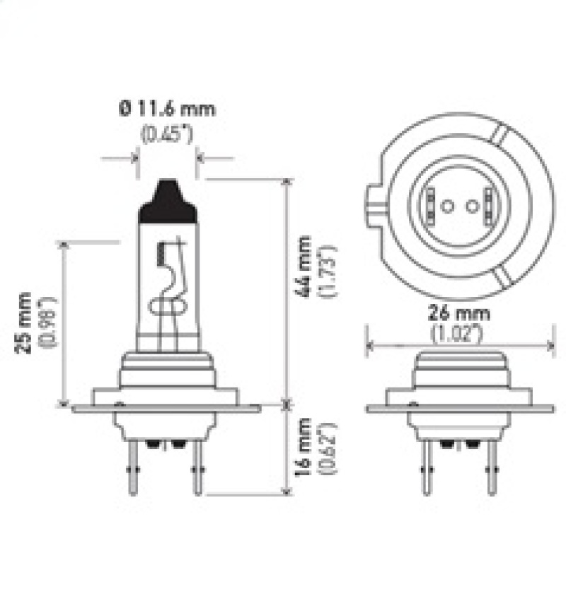 Picture of Hella Halogen Bulb - H7 70W