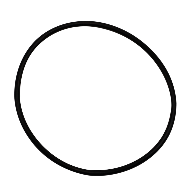 Picture of Wehrli WCF O-Rings - WCF203-86