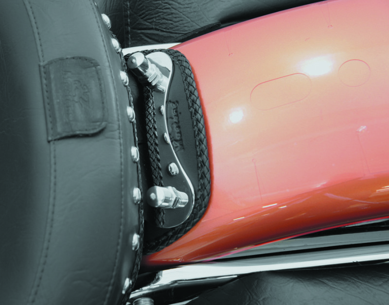 Picture of Mustang Motorcycle MMP Fender Bib Original - 78064