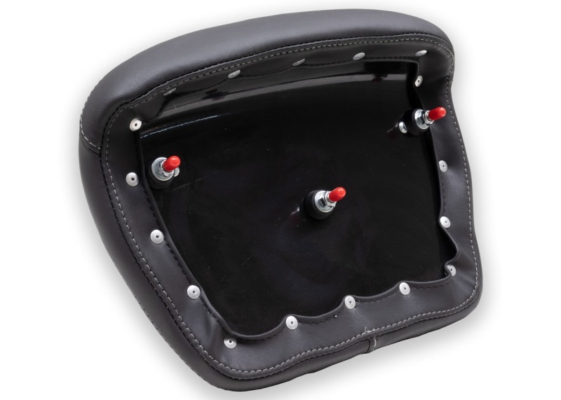Picture of Mustang Motorcycle MMP Backrest Color - 76886GM
