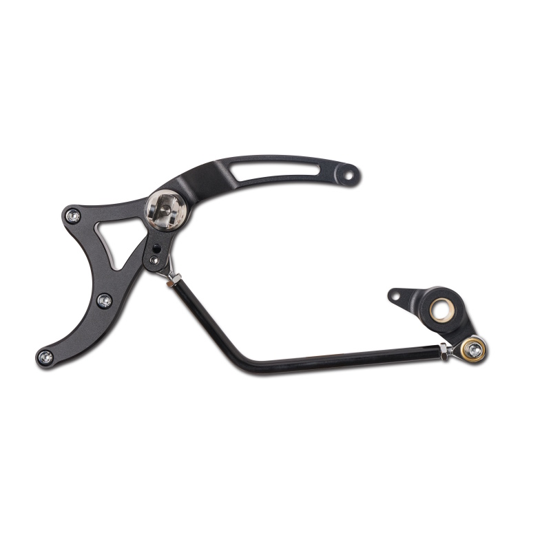 Picture of Performance Machine PFM Foot Controls Footpegs - 0035-1175M-SMB