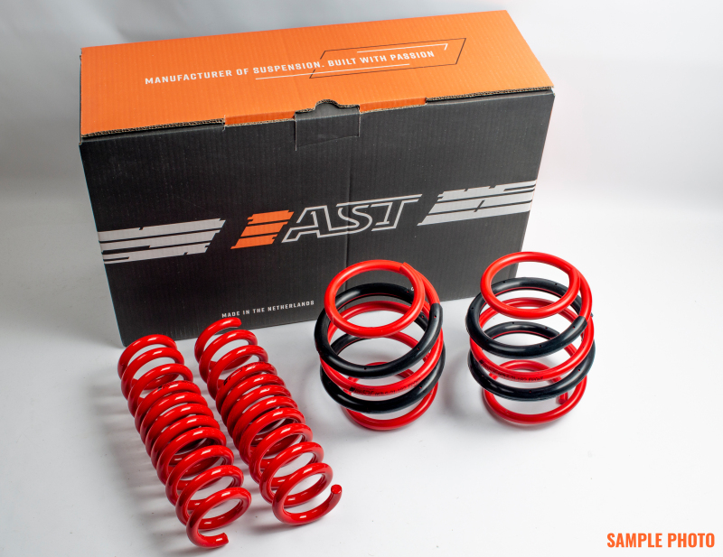 Picture of AST Lowering Springs - ASTLS-14-1716