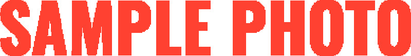 Picture of AST Lowering Springs - ASTLS-21-131