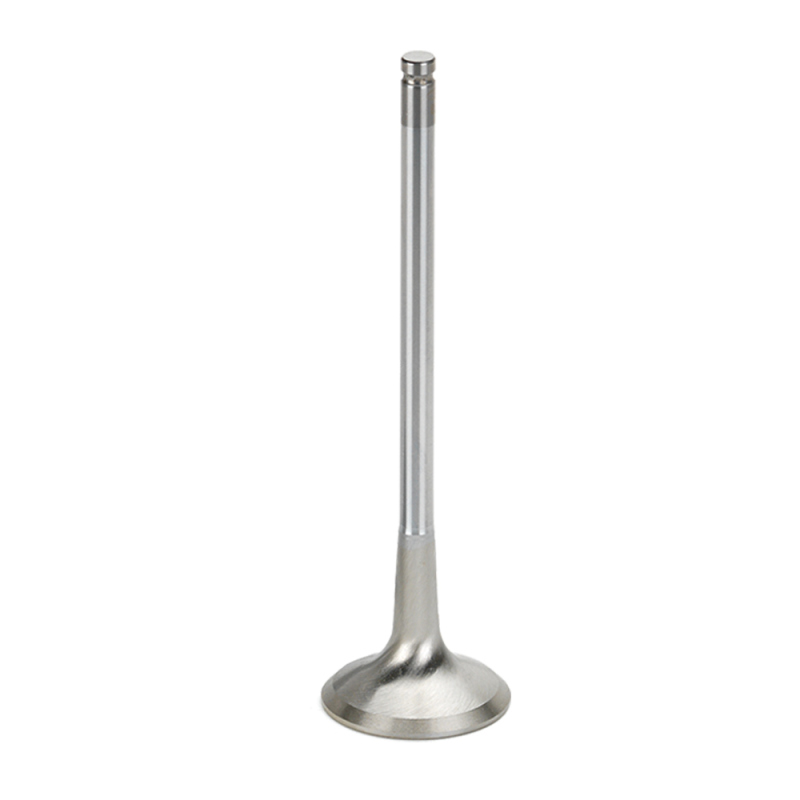 Picture of Supertech SPT Exhaust Valves - TEVI-1050