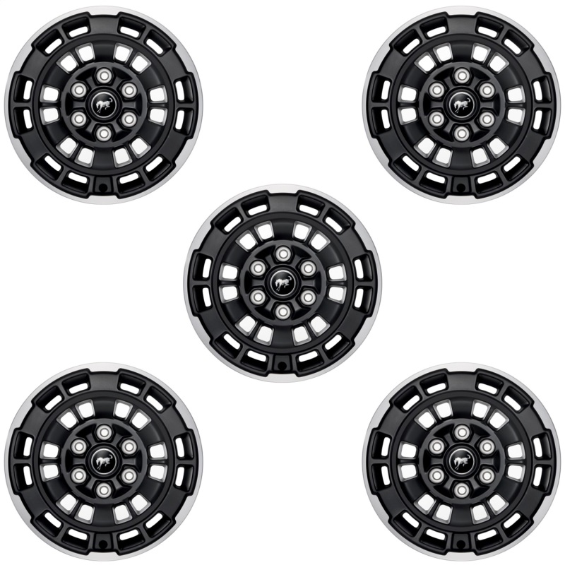 Picture of Ford Racing FR Wheels - M-1007K-P1785MBM