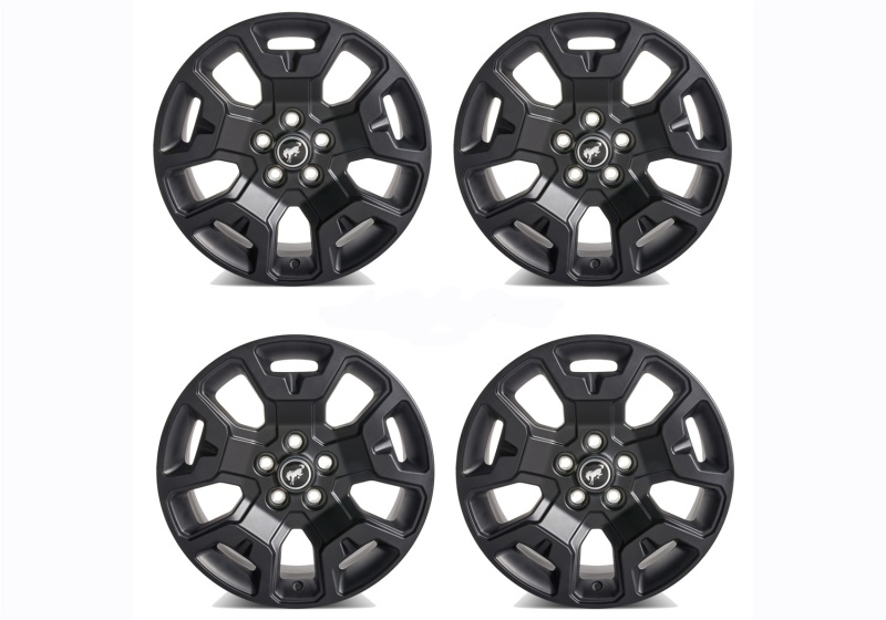 Picture of Ford Racing FR Wheels - M-1007K-S17BSB