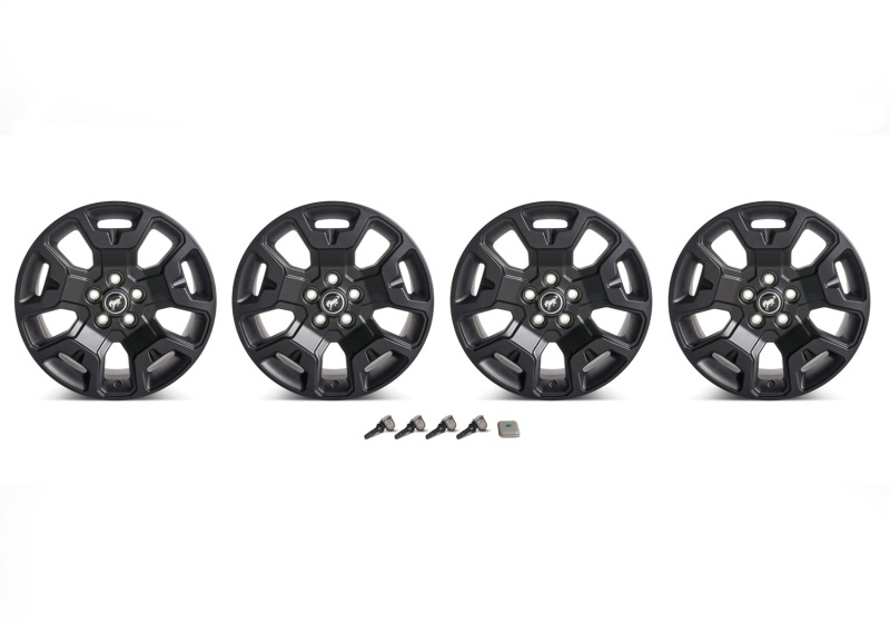 Picture of Ford Racing FR Wheels - M-1007K-S17BSB