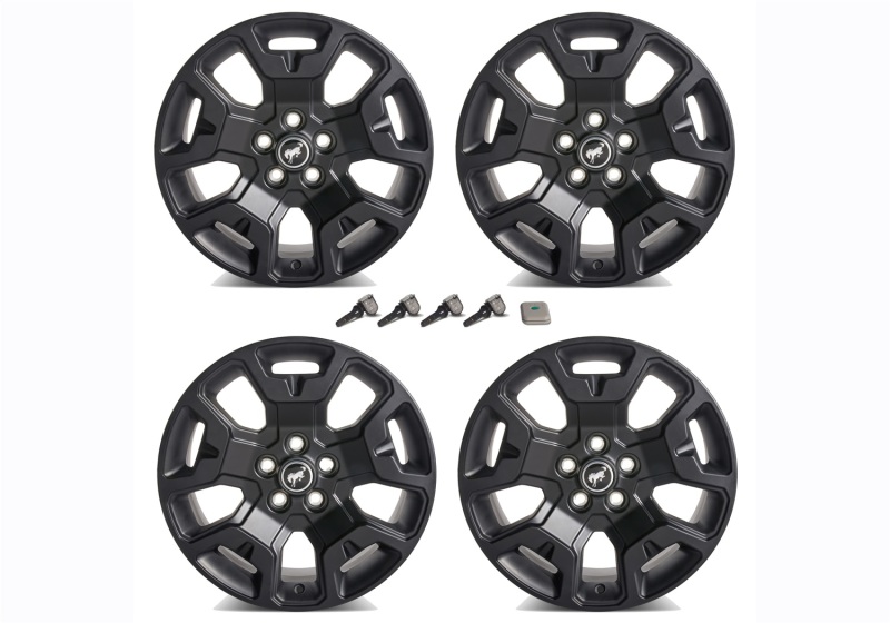 Picture of Ford Racing FR Wheels - M-1007K-S17BSB