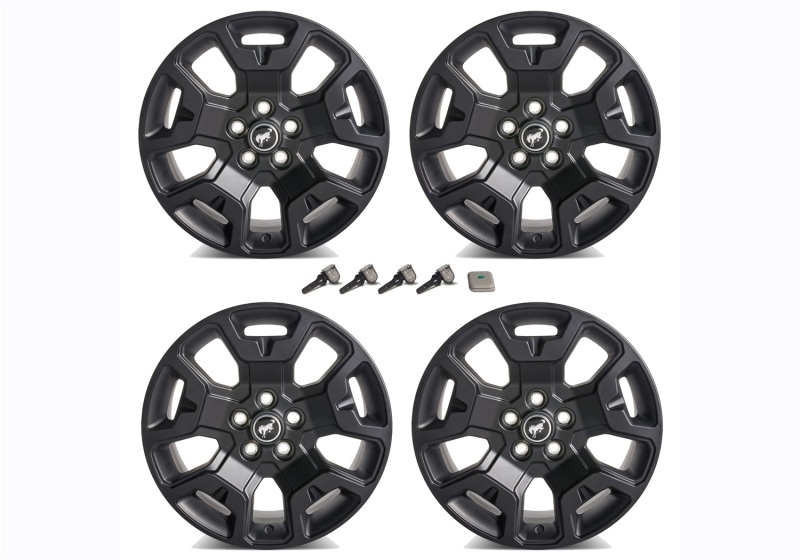 Picture of Ford Racing FR Wheels - M-1007K-S17BSB