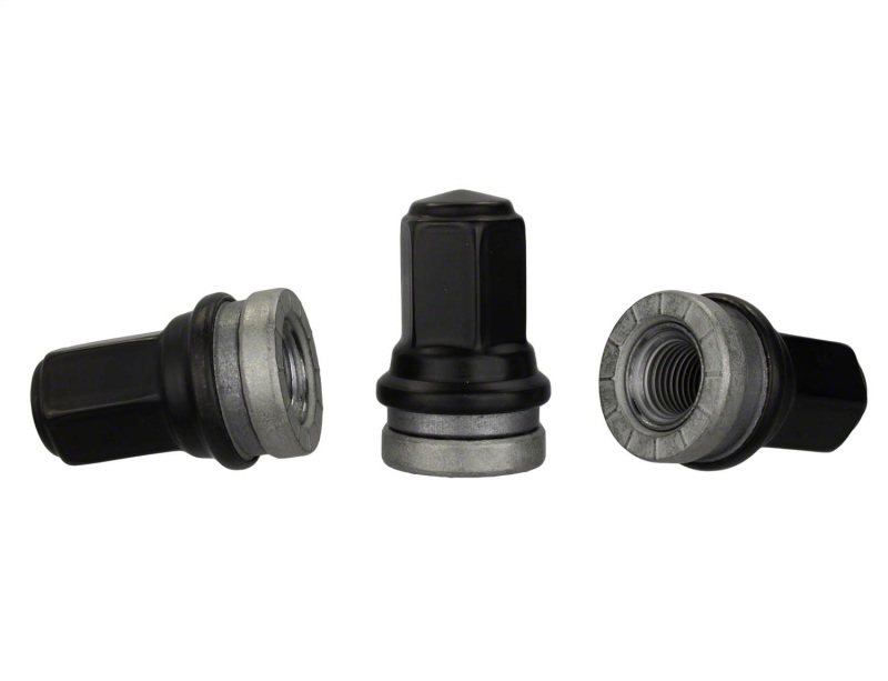 Picture of Ford Racing FR Lug Nut Kits - M-1012-SB