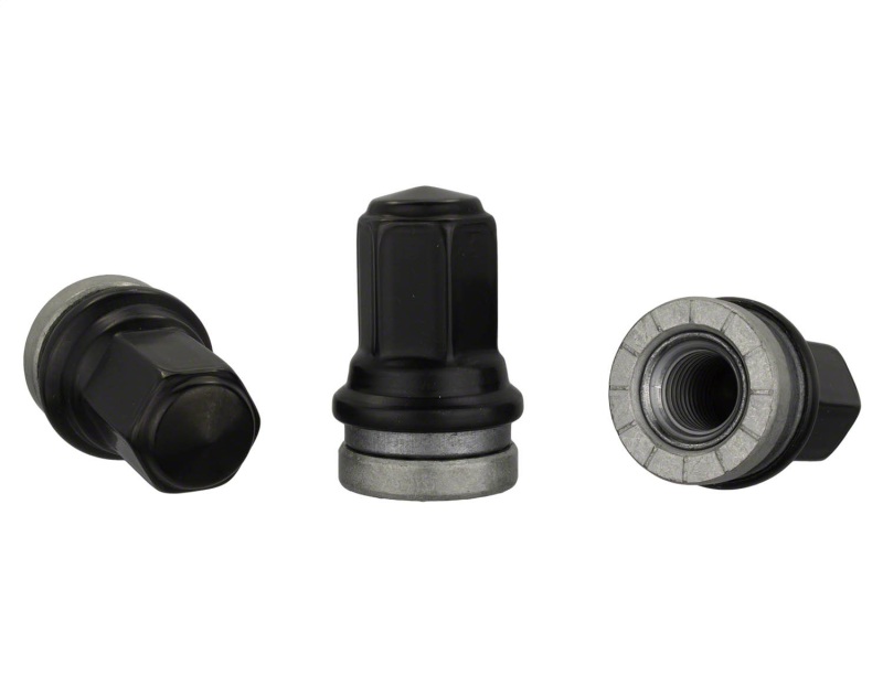 Picture of Ford Racing FR Lug Nut Kits - M-1012-SB