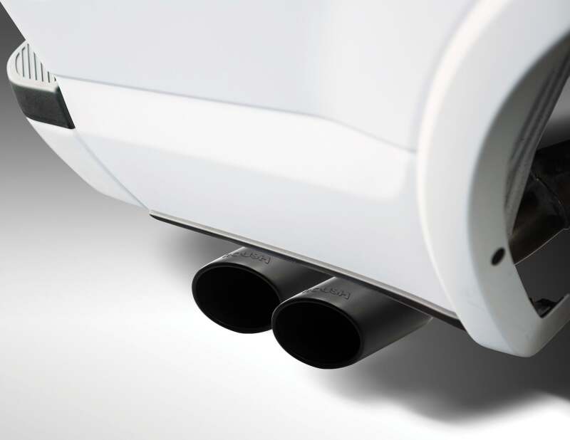 Picture of Roush RSH Exhaust Tips - 422318