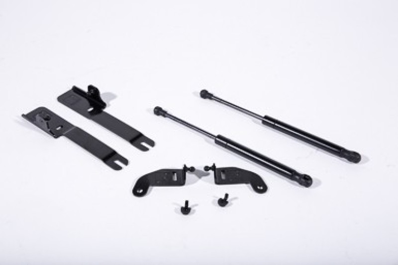 Picture of Roush RSH Hood Strut Kits - 422043