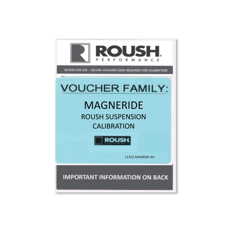 Picture of Roush RSH Suspension Systems Suspension Packages - 422331