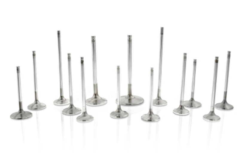Picture of Ferrea FER Comp Plus Int Valve-Sets - F2456P