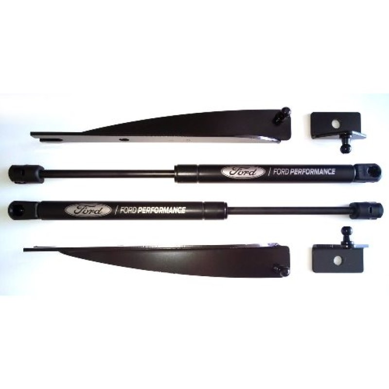 Picture of Ford Racing FR Hood Lift Kits Hood Struts - M-16826-M