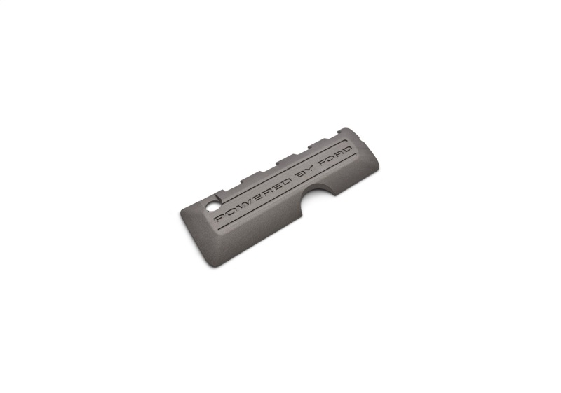Picture of Ford Racing FR Engine Covers - M-9680-M50A