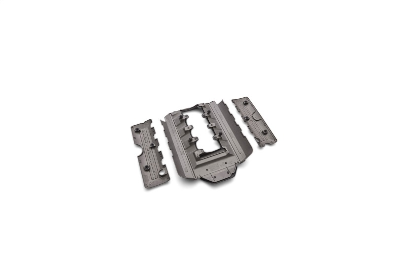 Picture of Ford Racing FR Engine Covers - M-9680-M50A