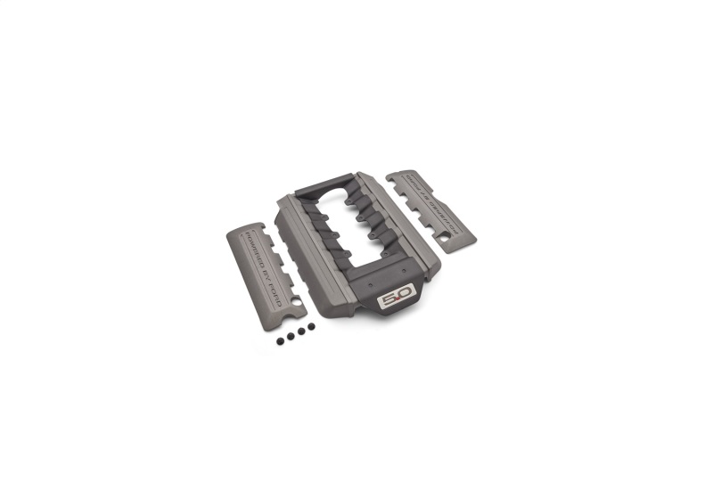 Picture of Ford Racing FR Engine Covers - M-9680-M50A