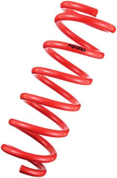 Picture of Tanabe TAN Springs-NF210 Lowering Springs - TNF198