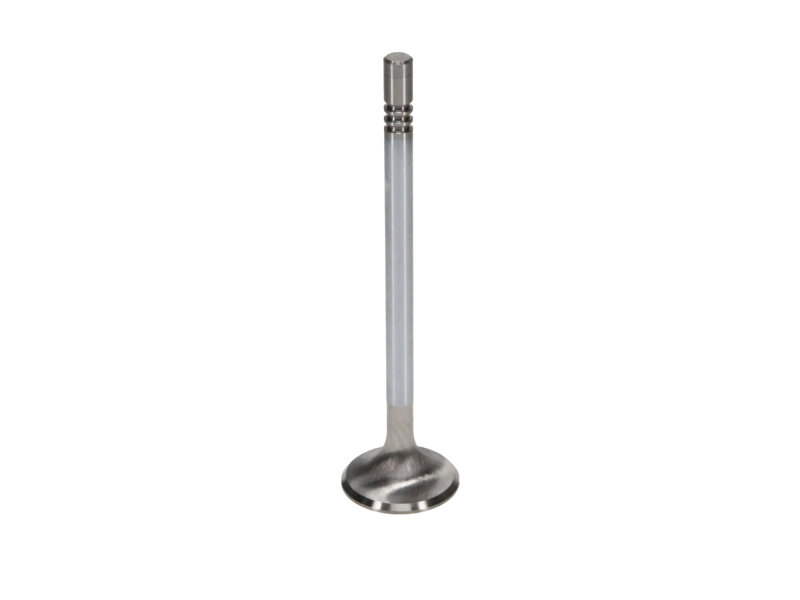 Picture of Manley Performance MAN Race Master Valves - 11627-8