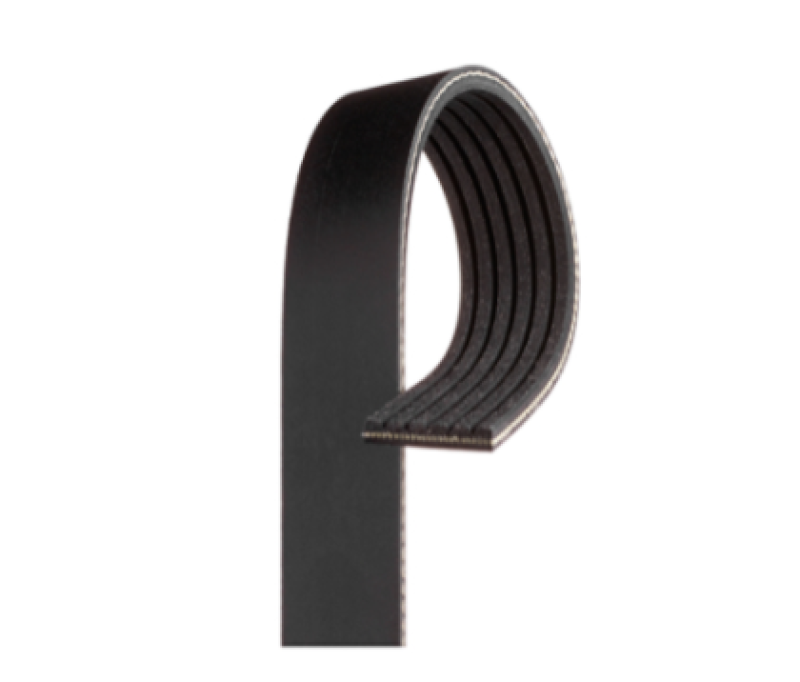 Picture of Gates GAT Racing Serpentine Belts - K080491RPM