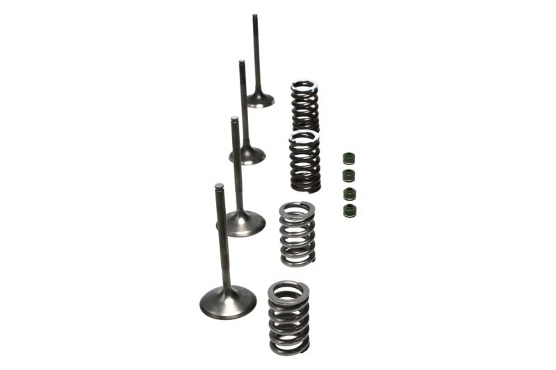 Picture of Wiseco WIS Valve Kits - SVKB1403