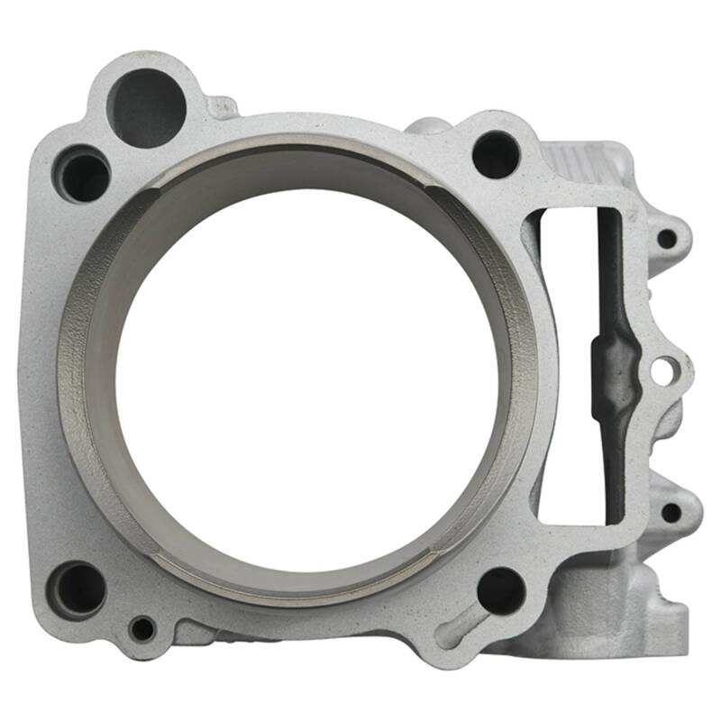 Picture of Cylinder Works CYL Standard Bore Cylinder Kit - CW20014