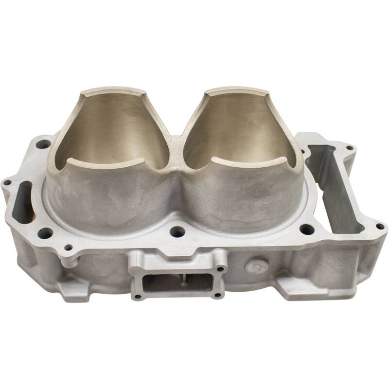 Picture of Cylinder Works CYL Standard Bore Cylinder Kit - CW30015K01