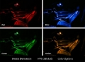 Picture of Diode Dynamics 194 LED Bulb HP3 LED Warm - White Pair