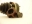 Picture of 3000GT / Stealth 6G72 Stock Type Pump Gears