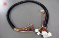Picture of HKS Wiring Harnesses - 4202-RA003