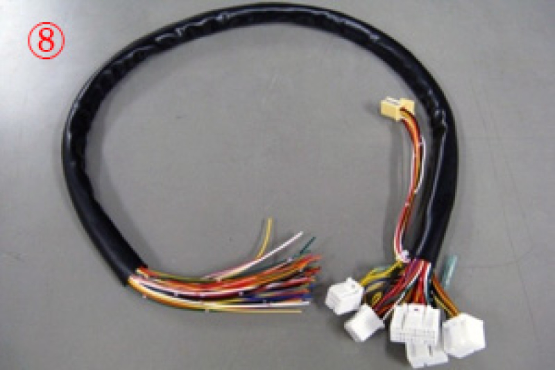 Picture of HKS Wiring Harnesses - 4202-RA003